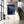 Bedroom Dolphin Wall Art
