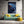 Bedroom Dolphin Wall Art
