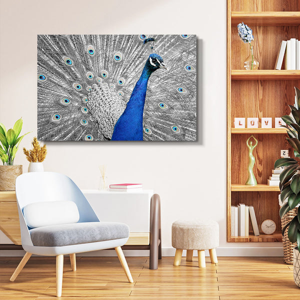 Bird Peacock Wall Art | MusaArtGallery™