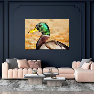Bird Wall Art Framed Prints | MusaArtGallery™