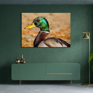 Bird Wall Art Framed Prints | MusaArtGallery™