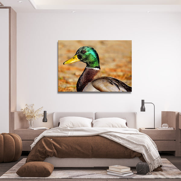 Bird Wall Art Framed Prints | MusaArtGallery™