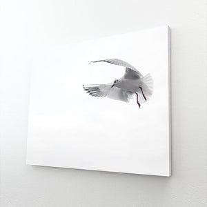 Bird Wall Art Home Decor | MusaArtGallery™