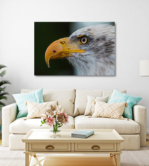 Bird Wall Decor Art | MusaArtGallery™