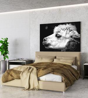 Black and White Alpaca Wall Art | MusaArtGallery™