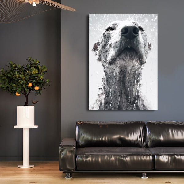 Black and White Animal Art | MusaArtGallery™