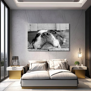 Black and White Anime Art | MusaArtGallery™