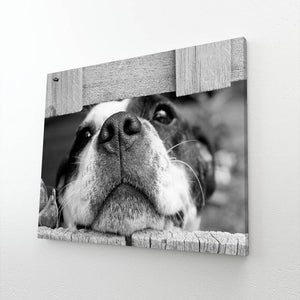 Black and White Anime Art | MusaArtGallery™