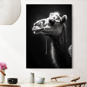 Black and White Art Photography | MusaArtGallery™