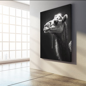 Black and White Art Photography | MusaArtGallery™