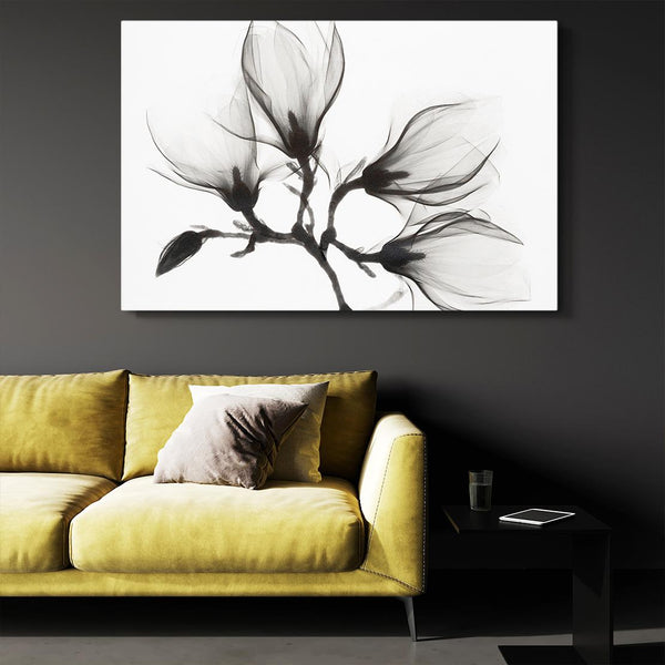 Black and White Art | MusaArtGallery™