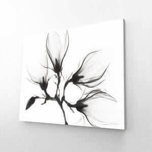 Black and White Art | MusaArtGallery™