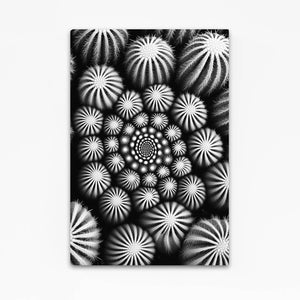 Black And White Cactus Art