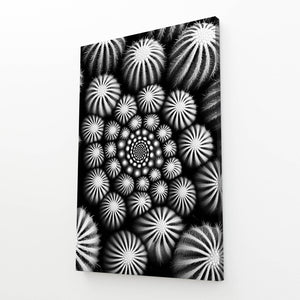 Black And White Cactus Art