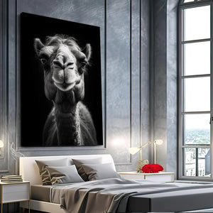 Black and White Camel Art | MusaArtGallery™