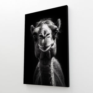 Black and White Camel Art | MusaArtGallery™