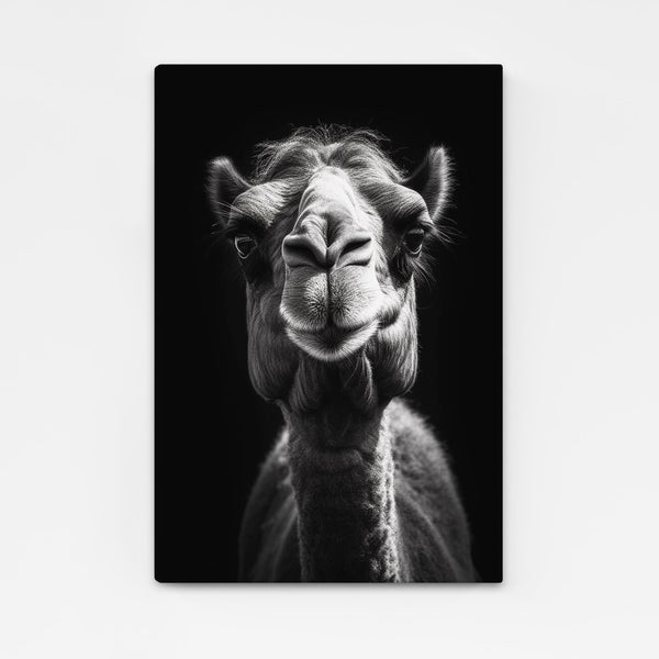 Black and White Camel Art | MusaArtGallery™