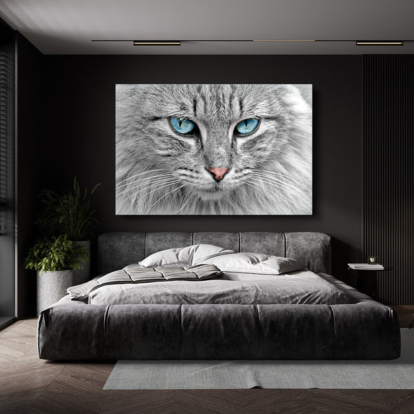 Black and White Cat Art | MusaArtGallery™