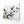 Black And White Cherry Blossom Branch Art