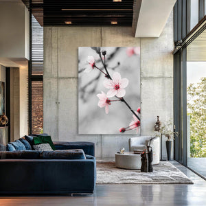 Black and White Cherry Blossom Flower Art