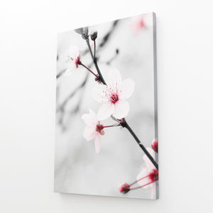 Black and White Cherry Blossom Flower Art