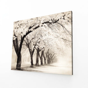 Black And White Cherry Blossom Trees Wall Art