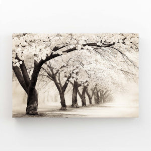 Black And White Cherry Blossom Trees Wall Art