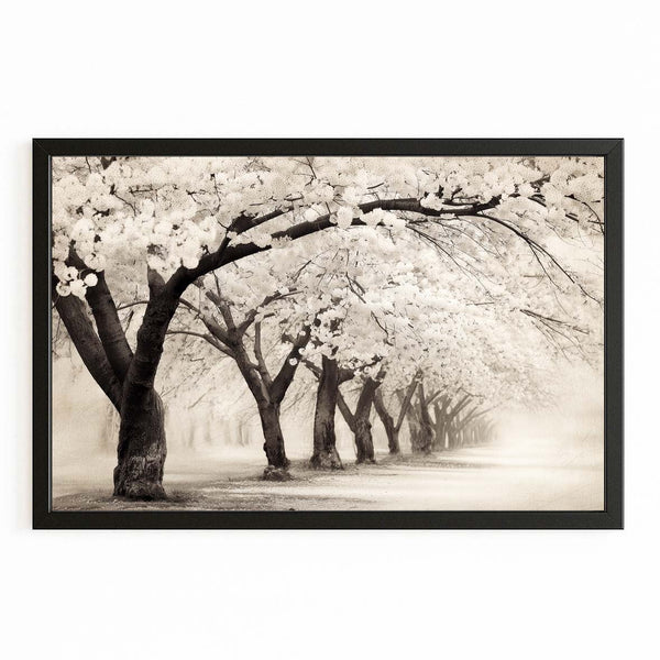 Black And White Cherry Blossom Trees Wall Art