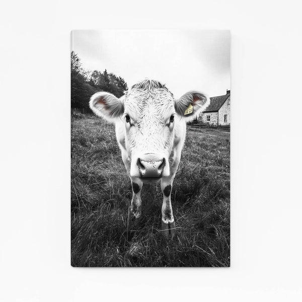 Black And White Cow Print