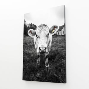 Black And White Cow Print