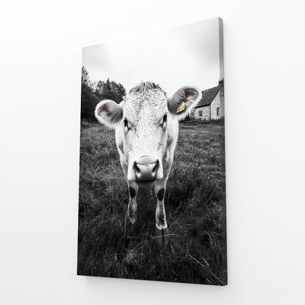 Black And White Cow Print