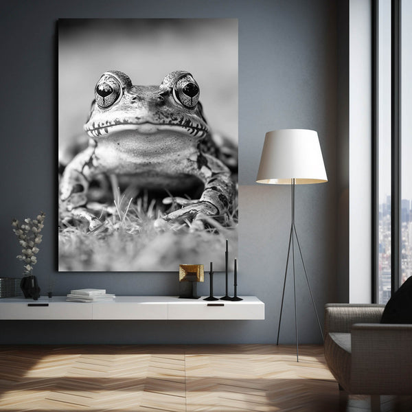 Black And White Frog Artwork