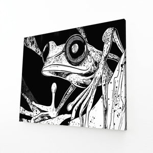 Black And White Frog Canvas