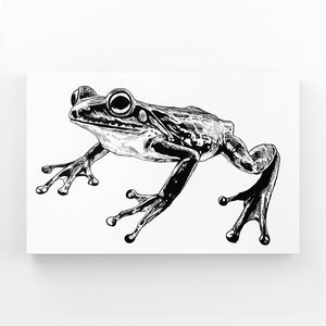 Black And White Frog Wall Decor