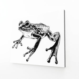 Black And White Frog Wall Decor