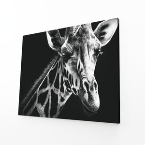 Black And White Giraffe Canvas Art