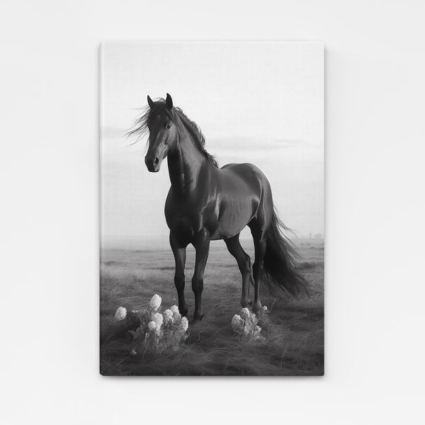 Black and White Horse Art | MusaArtGallery™