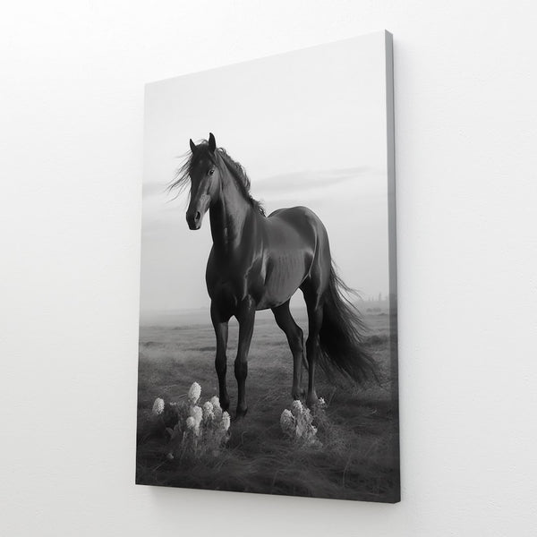 Black and White Horse Art | MusaArtGallery™