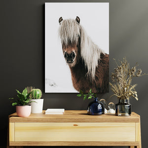 Black and White Horse Wall Art | MusaArtGallery™