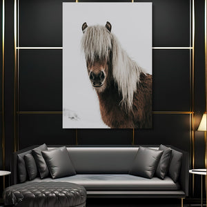 Black and White Horse Wall Art | MusaArtGallery™
