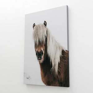 Black and White Horse Wall Art | MusaArtGallery™