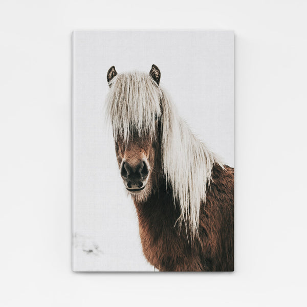 Black and White Horse Wall Art | MusaArtGallery™