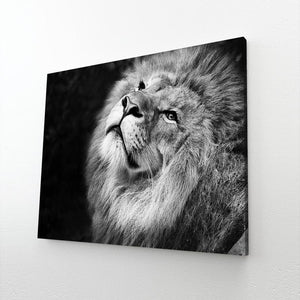 Black and White Lion Art | MusaArtGallery™