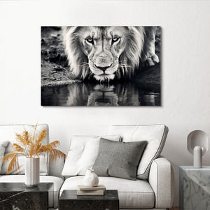 Black and White Lion Wall Art | MusaArtGallery™