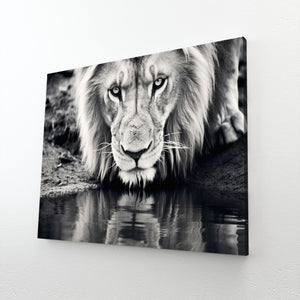 Black and White Lion Wall Art | MusaArtGallery™