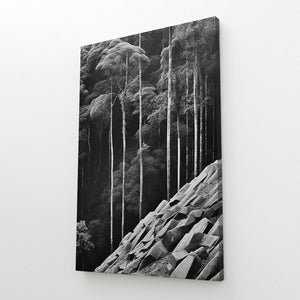 Black and White Nature Wall Art | MusaArtGallery™