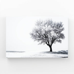 Black And White Photography Wall Artwork