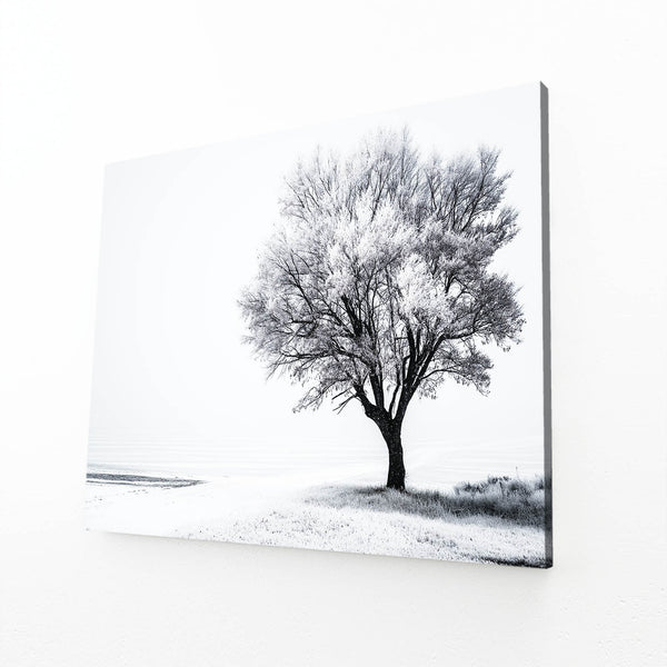 Black And White Photography Wall Artwork
