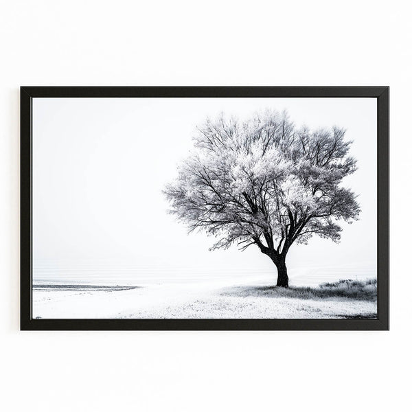 Black And White Photography Wall Artwork
