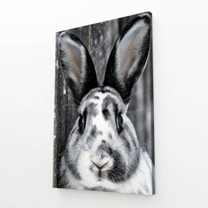 Black And White  Rabbit Canvas Wall Art